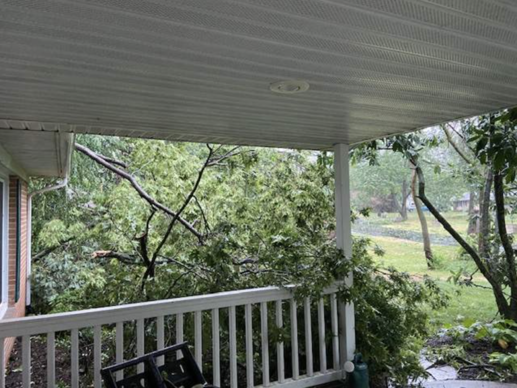 Bloomington Public Adjuster